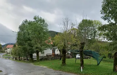 a group of trees on the side of a street at Apartma Dajana in Lokve