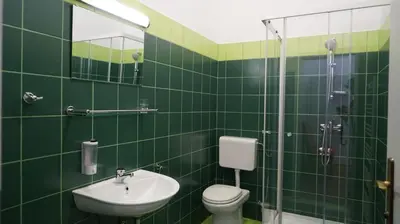 a green tiled bathroom with a toilet and a sink at Snežnik castle estate in Stari Trg pri Ložu