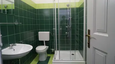 a green tiled bathroom with a toilet and a sink at Snežnik castle estate in Stari Trg pri Ložu