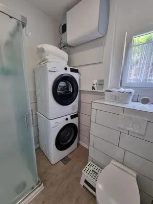 a bathroom with a washing machine and a toilet at Luna's House in Zgornje Jezersko