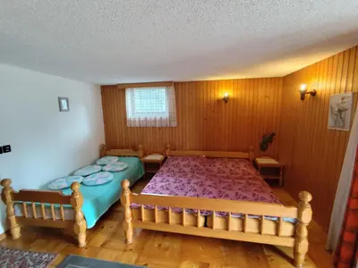 a bedroom with two beds in a room at Traditional Bled Stay in Bled