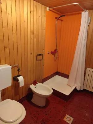 a bathroom with a toilet and a shower and a sink at Traditional Bled Stay in Bled