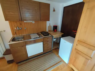 a small kitchen with wooden cabinets and a refrigerator at Traditional Bled Stay in Bled