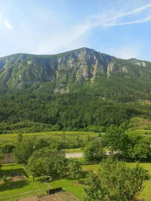 a mountain in the middle of a field with trees at Apartment Tunnel in Hrušica