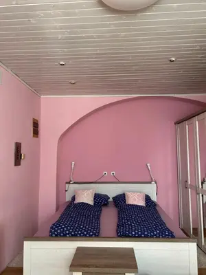 a bedroom with a bed with a pink wall at Apartment Tunnel in Hrušica