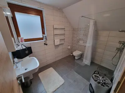 a bathroom with a sink and a shower and a toilet at Luna's Mountain House - Jezersko in Zgornje Jezersko