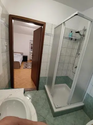 a bathroom with a shower and a toilet and a tub at Frane House in Knežak