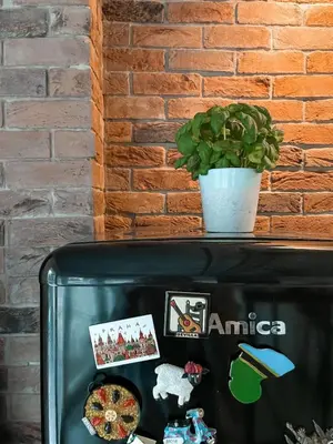 a tv with a potted plant on top of it at Rustikal Apartment with Garden and Free Parking in Ljubljana