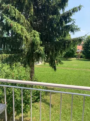 a fence in front of a park with a tree at Nice apartment in Celje in Celje