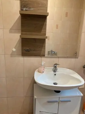 a bathroom with a white sink in a room at Nice apartment in Celje in Celje