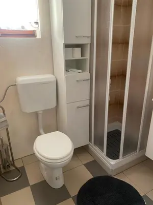 a bathroom with a toilet and a walk in shower at Počitniška hiša Lily in Idrija