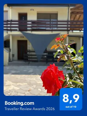 a red rose sitting in front of a building at Suzi Apartments in Lokev