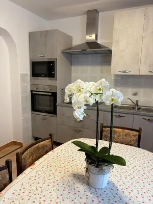 a kitchen with a table with a vase with white flowers at Suzi Apartments in Lokev
