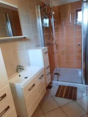 a bathroom with a sink and a shower at Suzi Apartments in Lokev