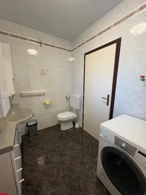 a bathroom with a toilet sink and a washing machine at Suzi Apartments in Lokev