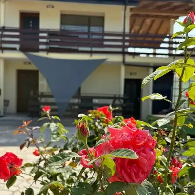 Suzi Apartments