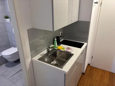 a small kitchen with a sink and a toilet at Rosa & Nora Apartments in Ljubljana