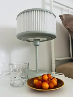 a plate of oranges on a table with a lamp at Apartma DUDI