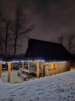 a log cabin with a picnic table in the snow at Hiška pod krošnjami