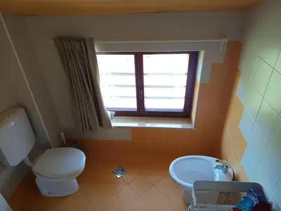 a bathroom with a toilet and a sink and a window at Green view apartment in Sežana