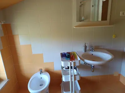 a bathroom with a sink and a toilet and a mirror at Green view apartment in Sežana