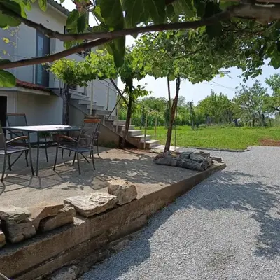 Green view apartment
