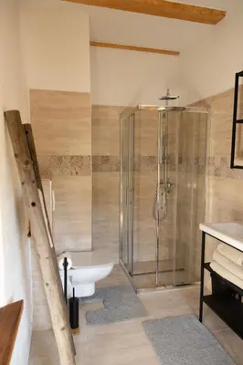 a bathroom with a shower and a sink at Golavškov mlin - Eco Heritage Boutique Stay in Prebold