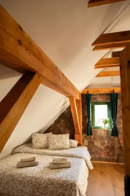 a bedroom with two beds in a attic at Golavškov mlin - Eco Heritage Boutique Stay in Prebold