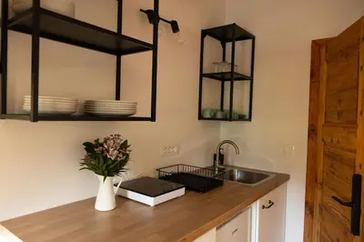 a kitchen with a sink and a vase of flowers on a counter at Golavškov mlin - Eco Heritage Boutique Stay in Prebold
