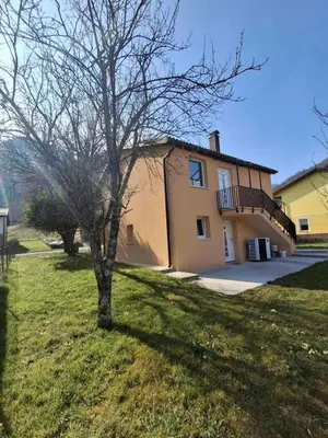 a tree in the grass in front of a house at Hiša Terra in Volzana