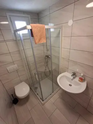 a bathroom with a shower and a toilet and a sink at Hiša Terra in Volzana