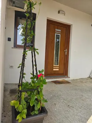a plant in a pot in front of a door at Apartma VINT in Ajdovščina