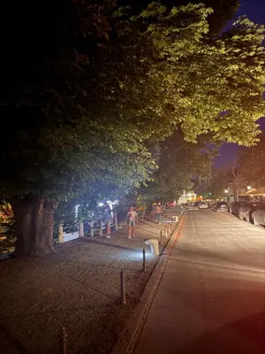 a tree lined street at night with people sitting on benches at Enchanting appartment Eipprova in Ljubljana