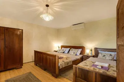 a bedroom with two beds and a chandelier at Herbal Apartment Marjetka in Šentjur