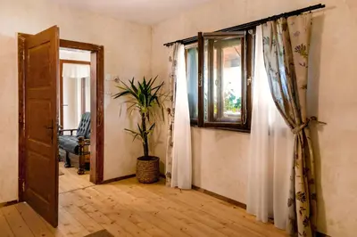 a room with an open door and a potted plant at Herbal Apartment Marjetka in Šentjur