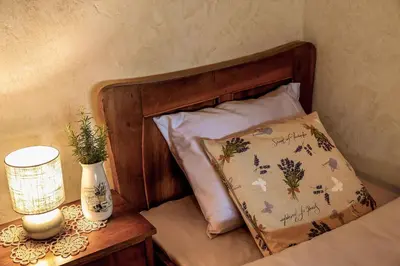 a bed with a pillow and a table with a lamp at Herbal Apartment Marjetka in Šentjur