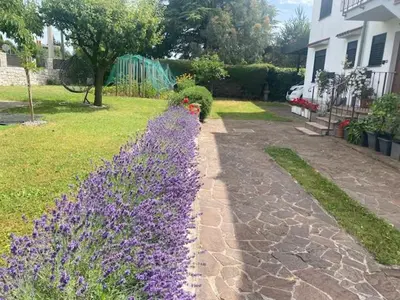 a row of purple flowers in a yard at Hiša Tavčar in Dutovlje