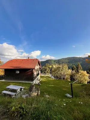a building in a field with a bench next to it at Sedmakovo - Počitniška hiša v naravi - Ljubno ob Savinji in Ljubno