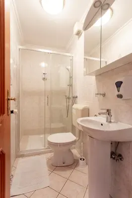 a bathroom with a shower and a toilet and a sink at Gostišče Pri Dveh Petelinih in Bled