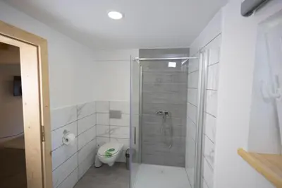 a bathroom with a shower and a toilet in it at Apartma Pr' Bavnč in Lesce