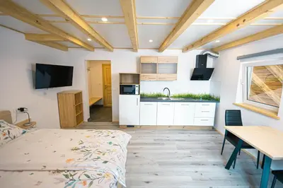 a kitchen and living room with a bed and a table at Apartma Pr' Bavnč in Lesce