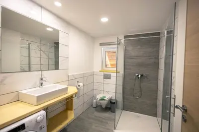 a bathroom with a sink and a shower at Apartma Pr' Bavnč in Lesce