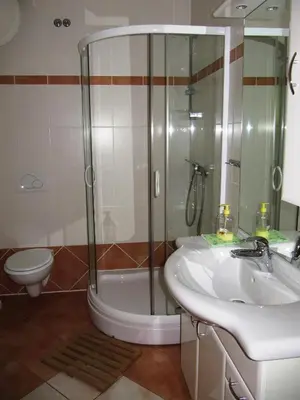 a bathroom with a shower and a sink and a toilet at Apartment Vintgar in Slovenska Bistrica