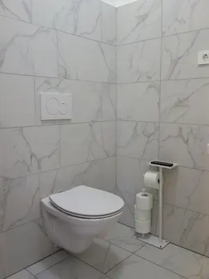 a white bathroom with a toilet and marble walls at Apartmaji Pri fijakarju - Apartments 