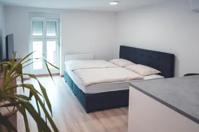 a bedroom with a bed with a black headboard at Maribella Apartment in Maribor