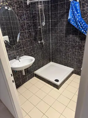 a bathroom with a shower with a sink and a toilet at Lipovska Oaza