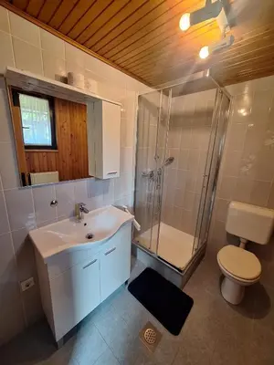 a bathroom with a sink and a shower and a toilet at Apartma P&B in Bled