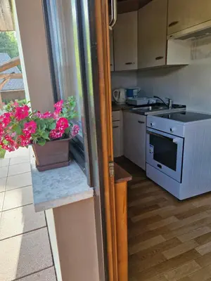 a kitchen with a potted plant on a counter at Apartma P&B in Bled