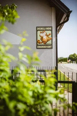a sign on the side of a building at Chonky Cat in Moravske Toplice