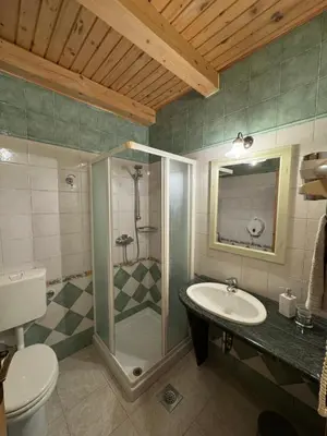 a bathroom with a shower and a sink and a toilet at Omnia rooms in Sežana